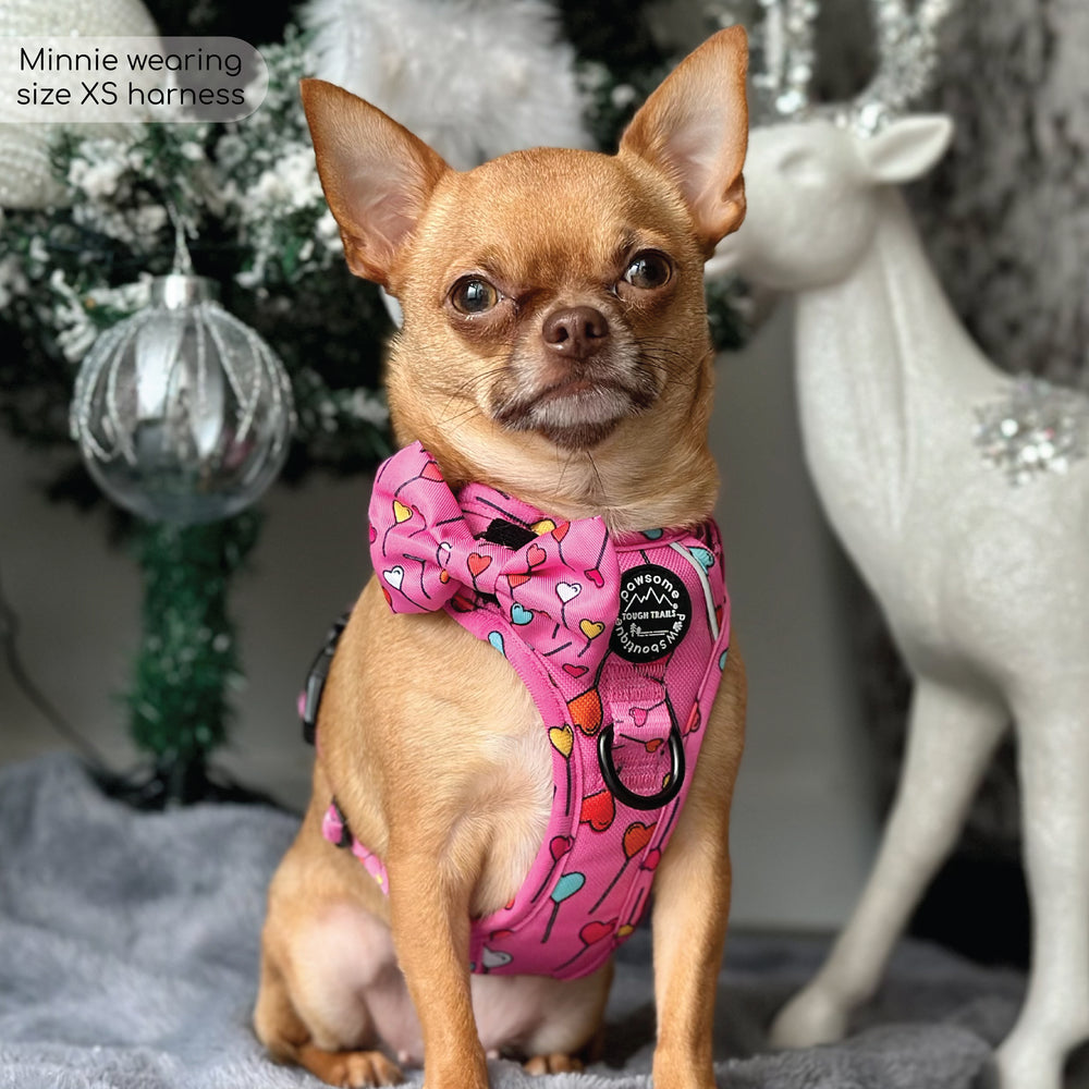 Tough Trails™ Harness - Candypop