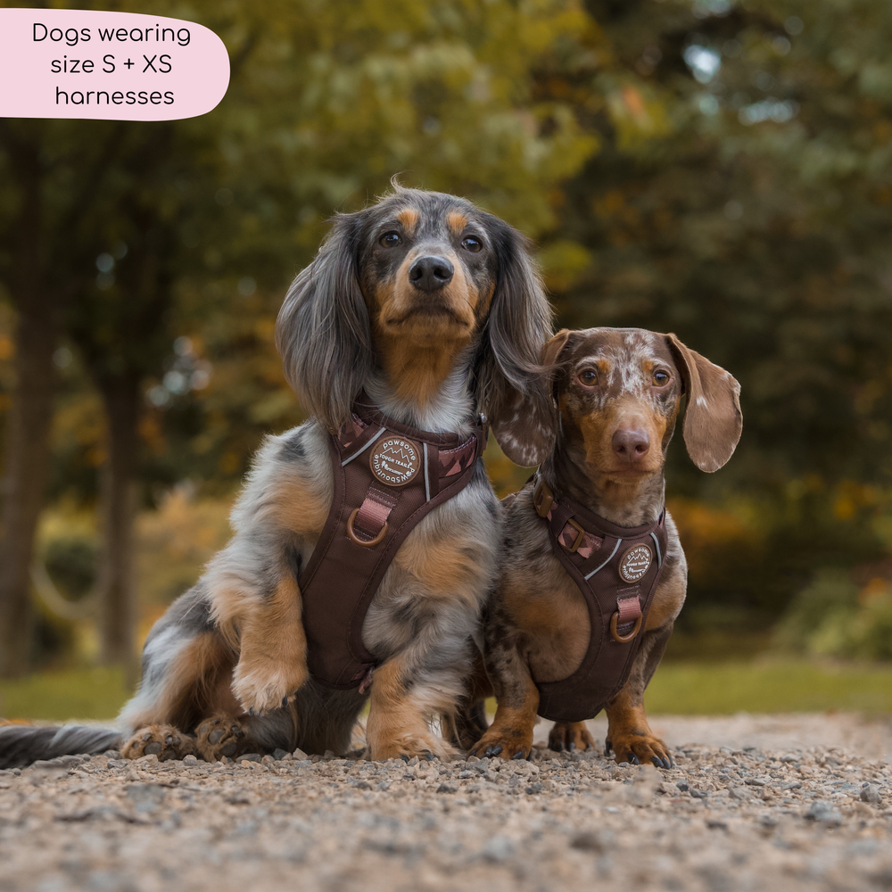 Tough Trails™ Harness - Walkies Ready® Chocolate Brown