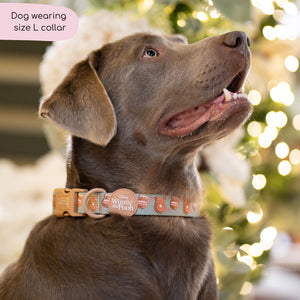 Disney© Collar - Gingerbread Bear Sage