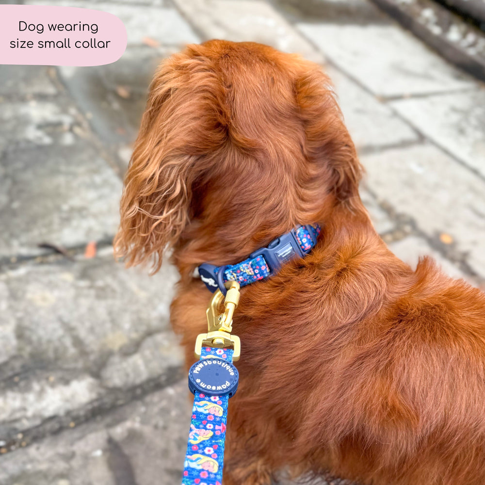 Disney© Collar - Alice In Wonderland