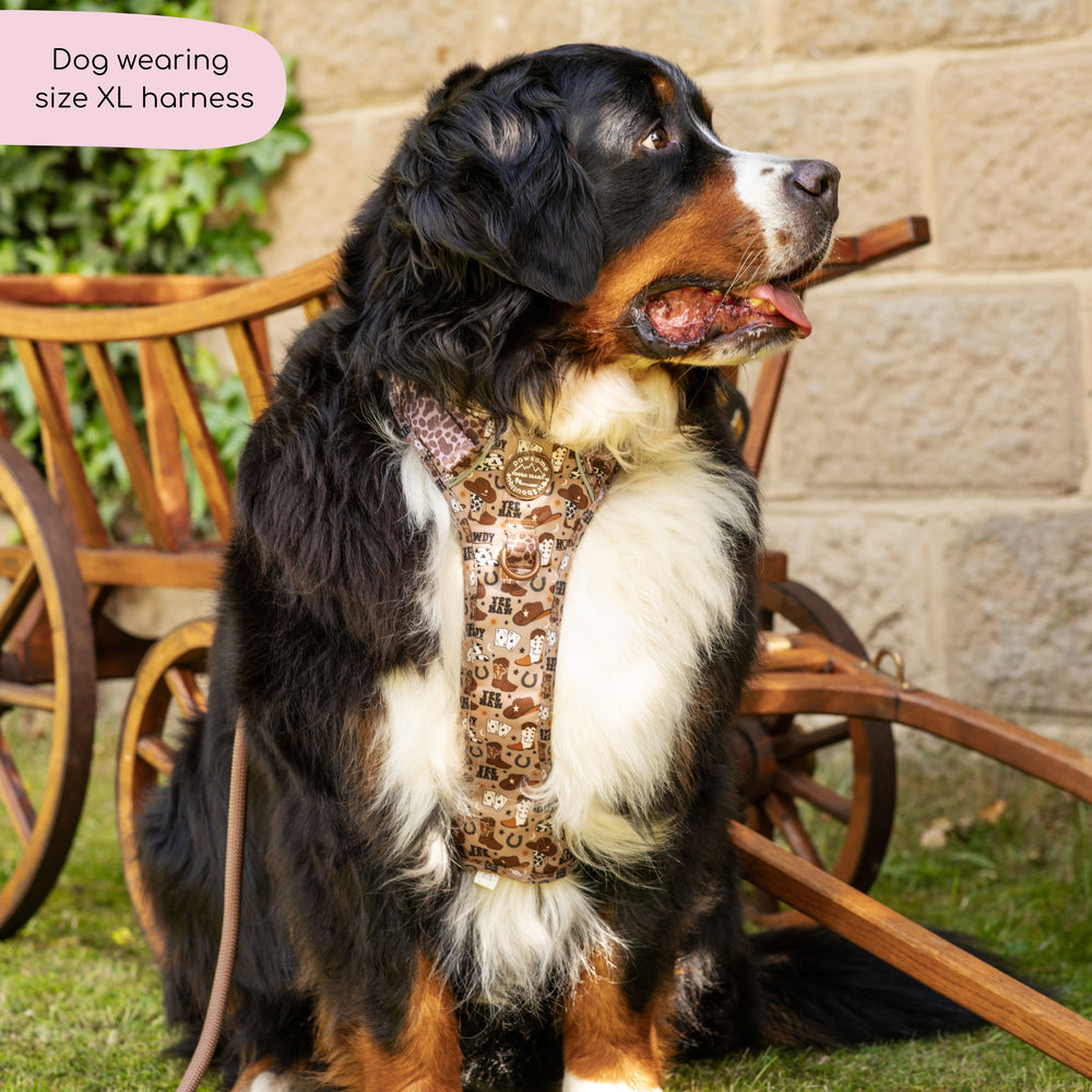 Tough Trails™ Harness -  Cowboy