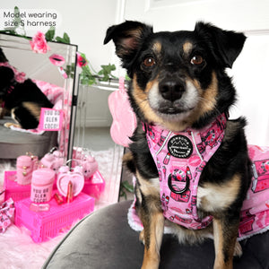 Tough Trails™ Harness - Mean Girls