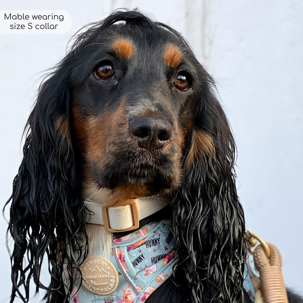 Disney© Waterproof Collar - Winnie The Pooh