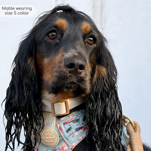 Disney© Waterproof Collar - Winnie The Pooh