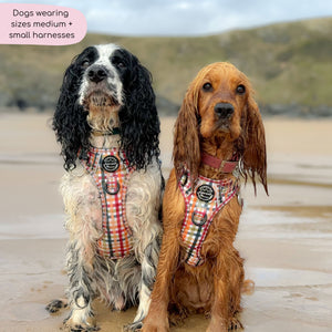 Tough Trails™ Harness - Plaid Pup