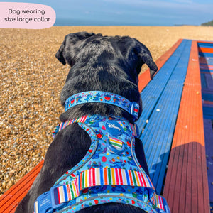 Disney© Collar - Stitch's Fruit Fiesta