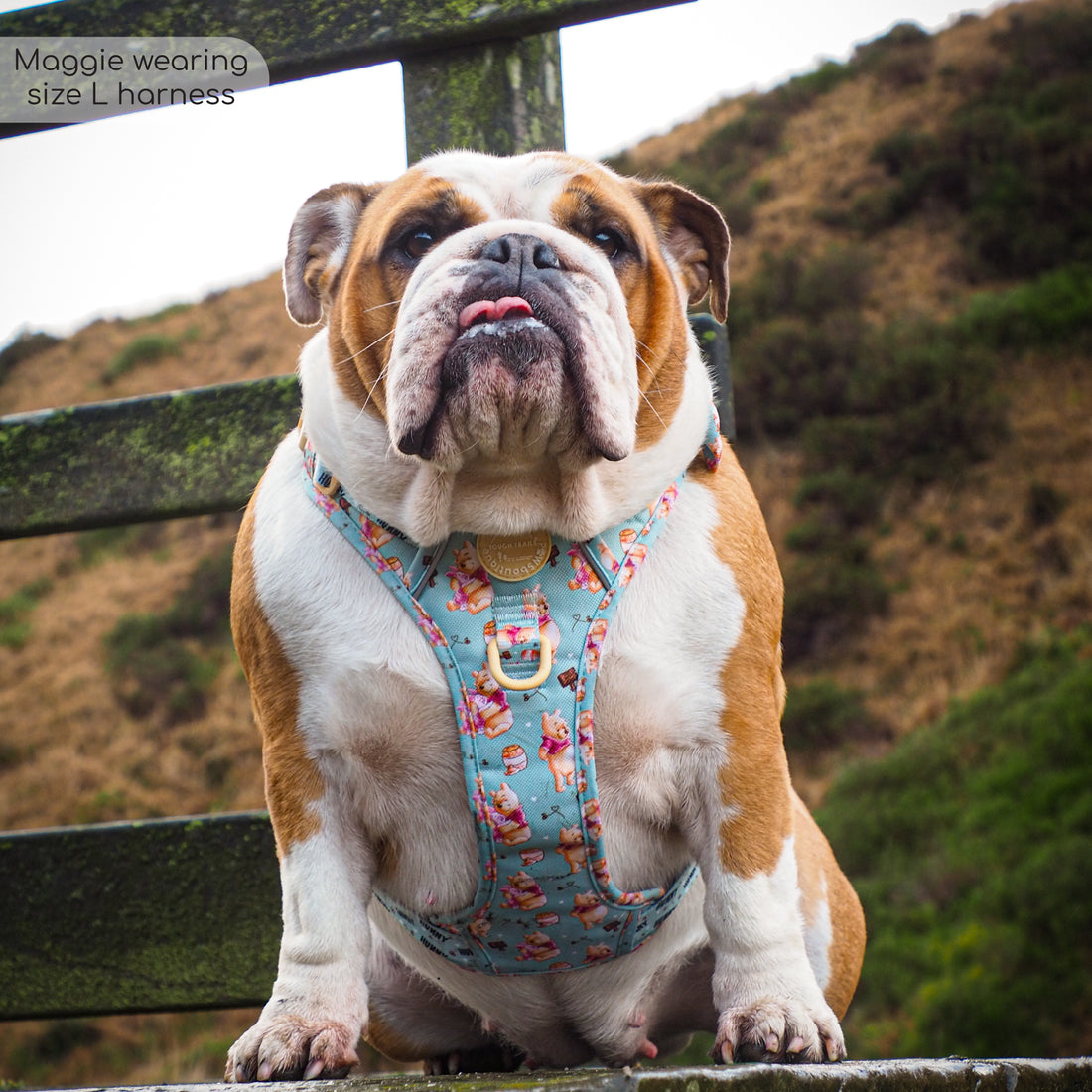 Disney© Tough Trails™ Harness - Winnie The Pooh