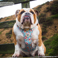 Disney© Tough Trails™ Harness - Winnie The Pooh