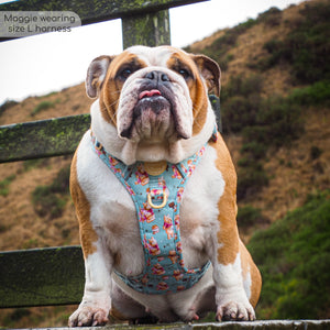 Disney© Tough Trails™ Harness - Winnie The Pooh