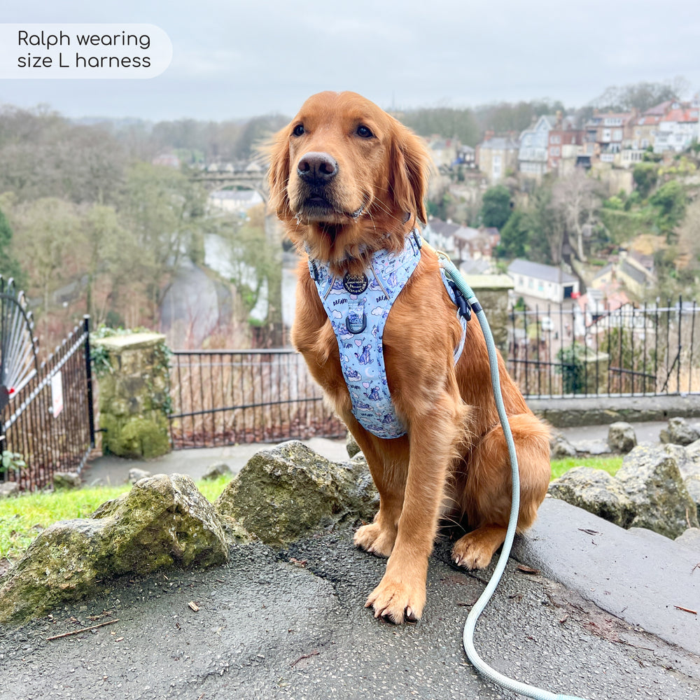Disney© Tough Trails™ Harness - Eeyore