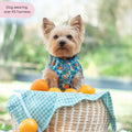 Tough Trails™ Harness -  Fruit Punch