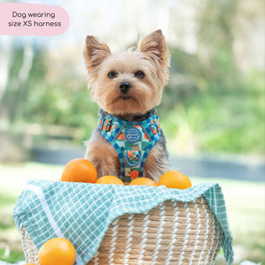 Tough Trails™ Harness -  Fruit Punch