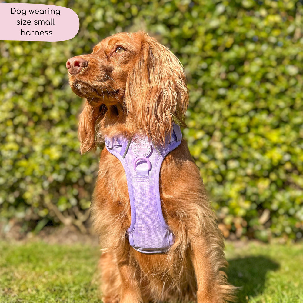 Tough Trails™ Harness - Walkies Ready® Lavender Lilac