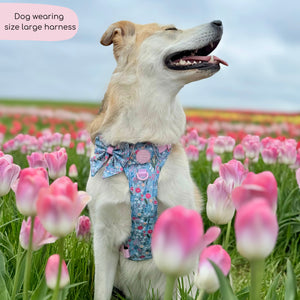 Tough Trails™ Harness -  Whimsical Wildflowers