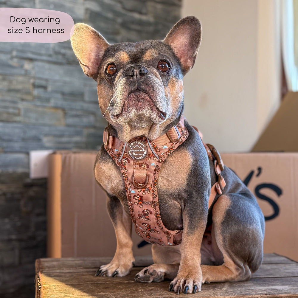 Disney© Tough Trails™ Harness - Slinky