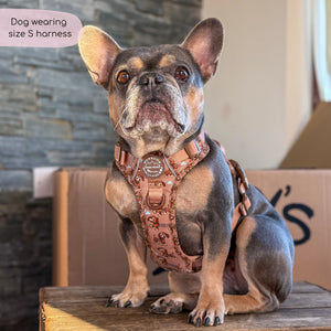 Disney© Tough Trails™ Harness - Slinky