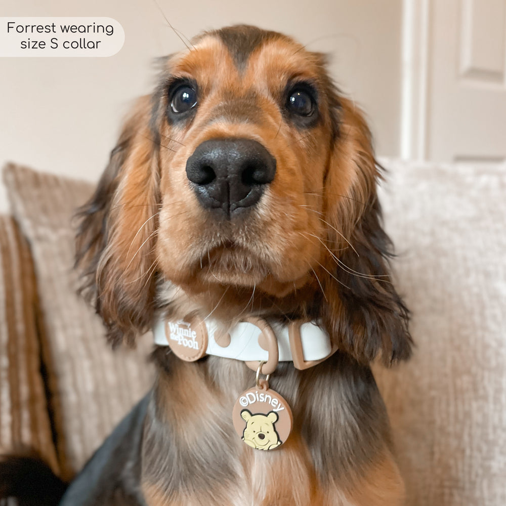 Disney© Waterproof Collar - Winnie The Pooh