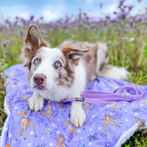 Disney© Dog Blanket - Bambi + Friends Lilac