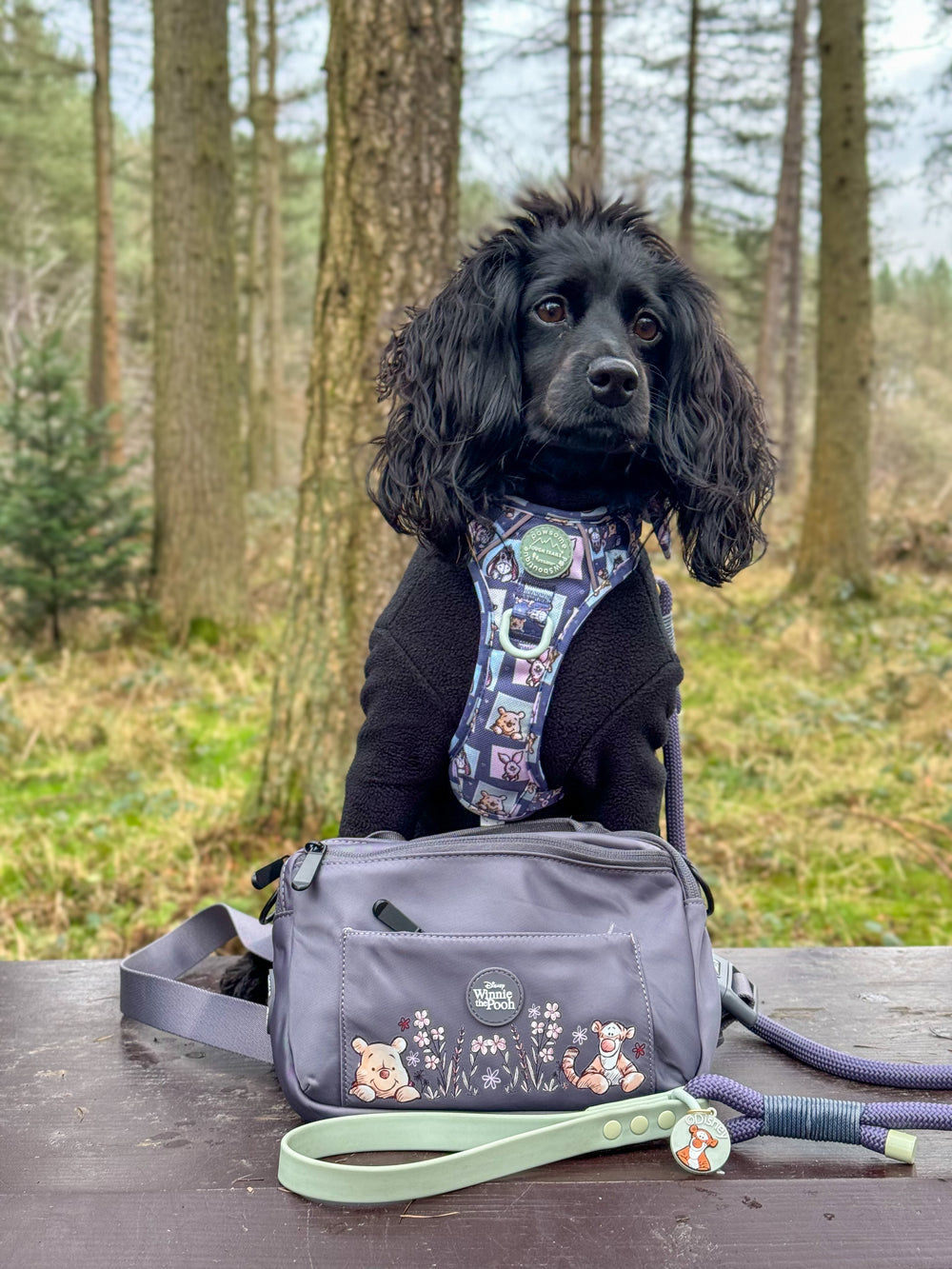 Disney© All In One Bumbag - Winnie + Friends