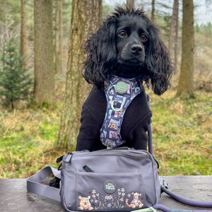 Disney© All In One Bumbag - Winnie + Friends