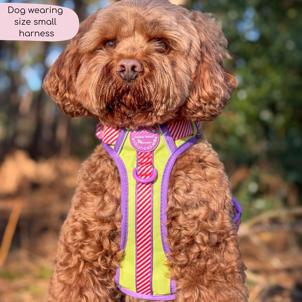 Disney© Tough Trails™ Harness - Buzz Lightyear