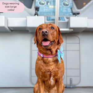 Disney© Collar - Buzz Lightyear