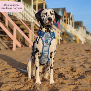 Tough Trails™ Harness -  Sailor Stripes