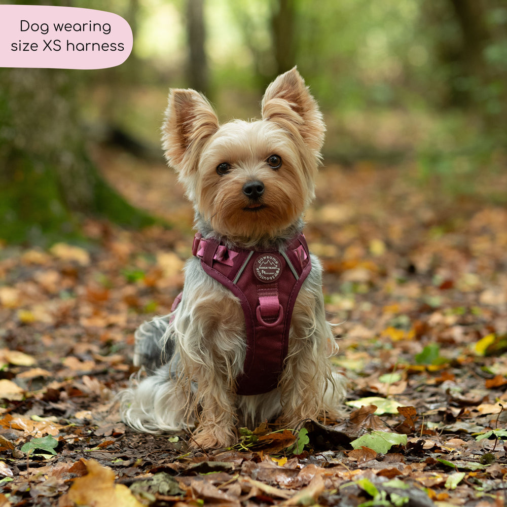 Tough Trails™ Harness - Walkies Ready® Mulberry
