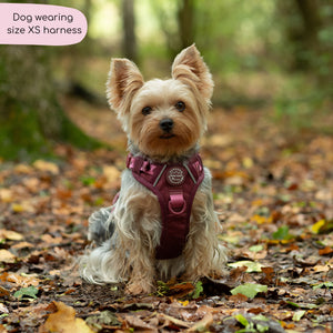 Tough Trails™ Harness - Walkies Ready® Mulberry