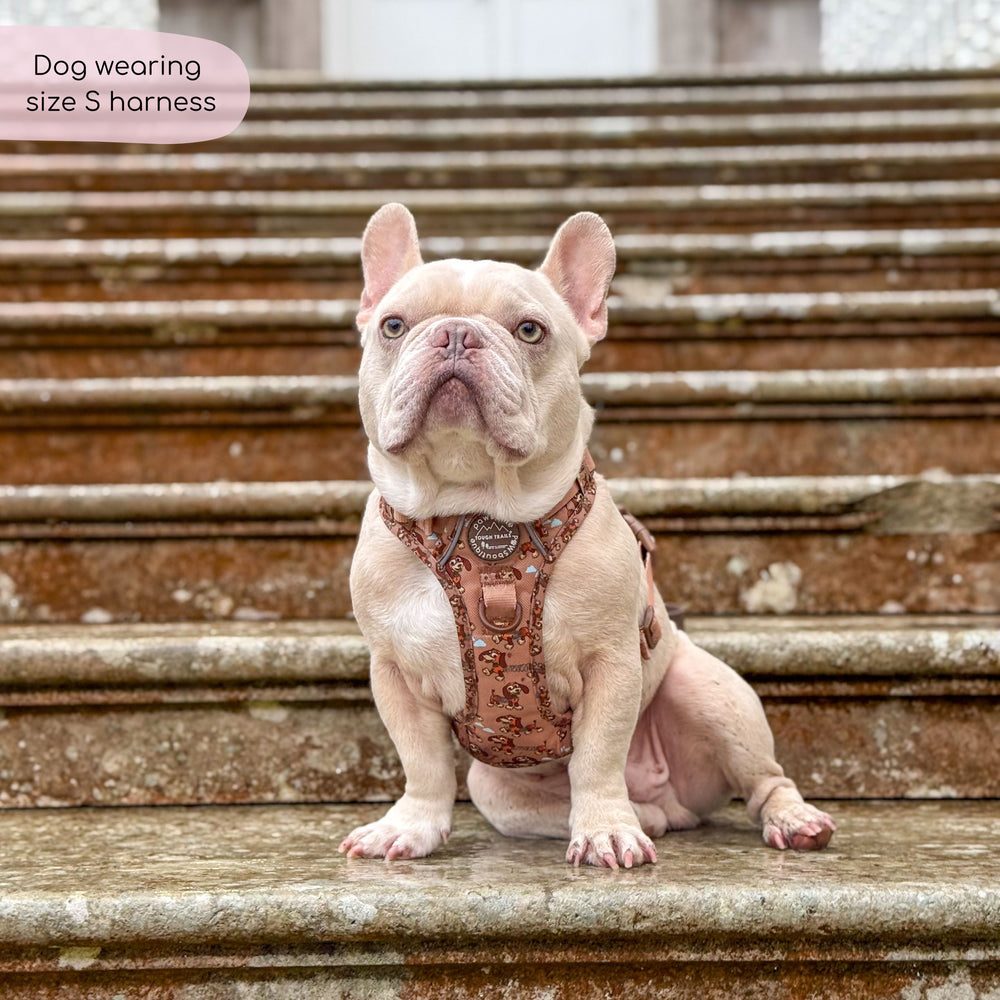 Disney© Tough Trails™ Harness - Slinky