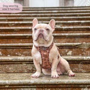 Disney© Tough Trails™ Harness - Slinky