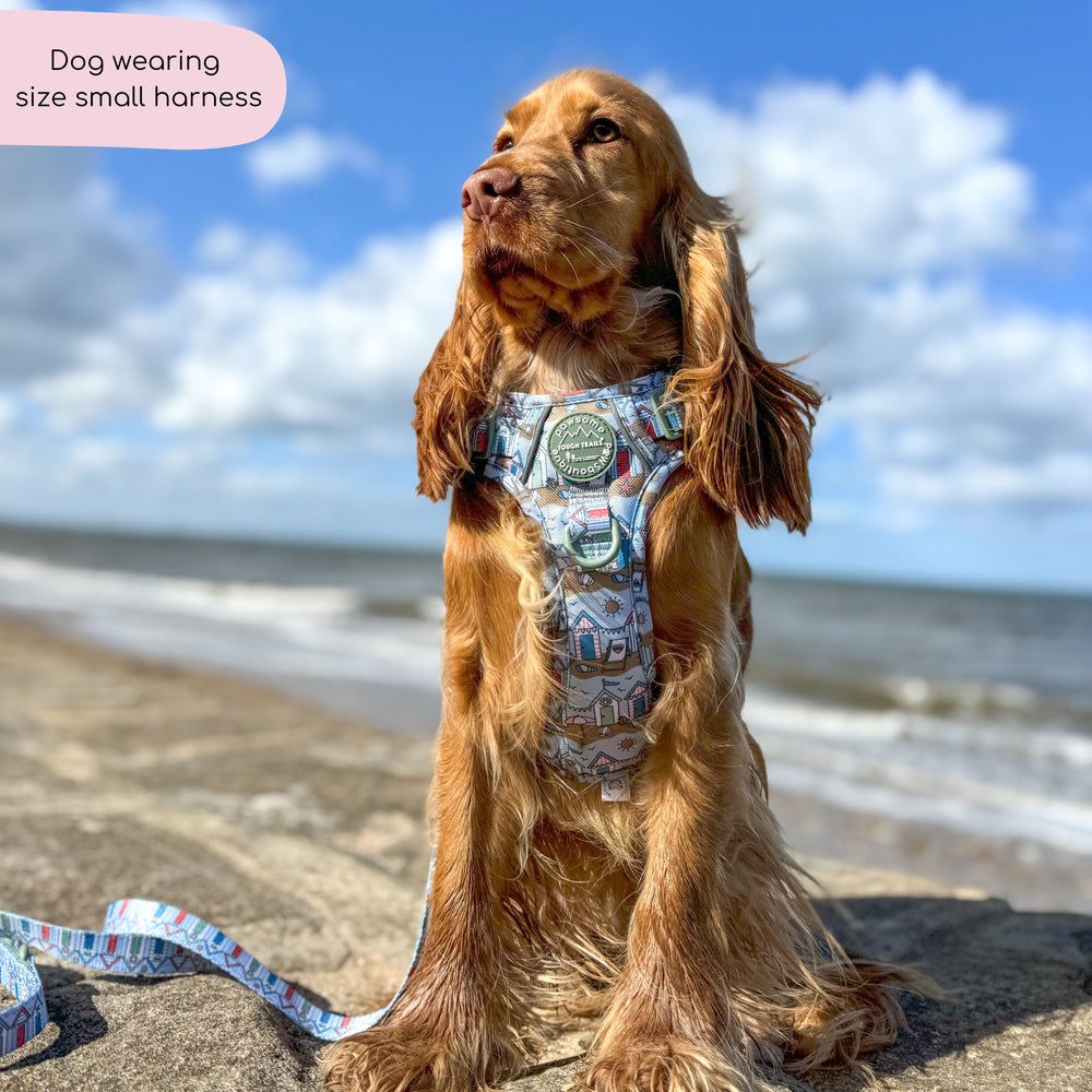 Tough Trails™ Harness -  Sandy Shores