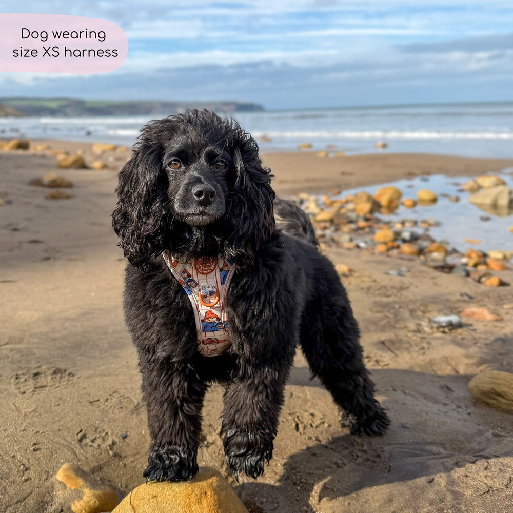 Paddington™ Tough Trails™ Harness - Peckish Paddington