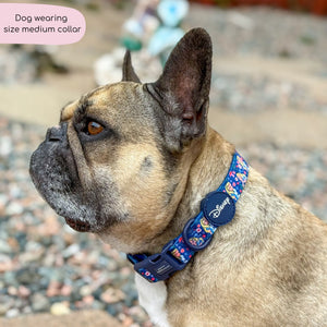 Disney© Collar - Alice In Wonderland