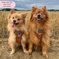 Tough Trails™ Harness - Celestial Spirit
