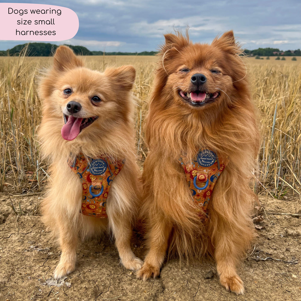 Tough Trails™ Harness - Celestial Spirit