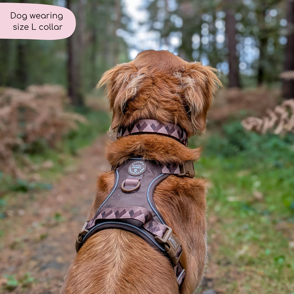 Collar – Walkies Ready® Chocolate Brown