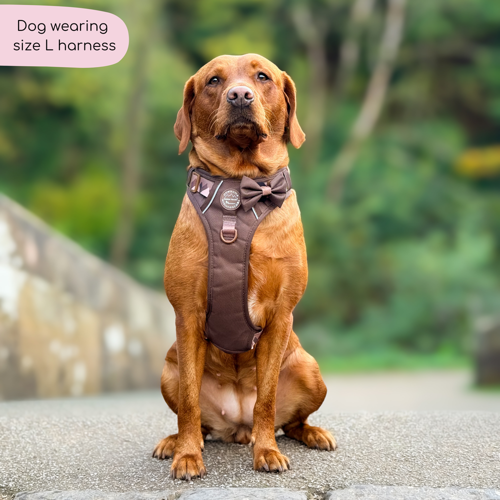 Tough Trails™ Harness - Walkies Ready® Chocolate Brown