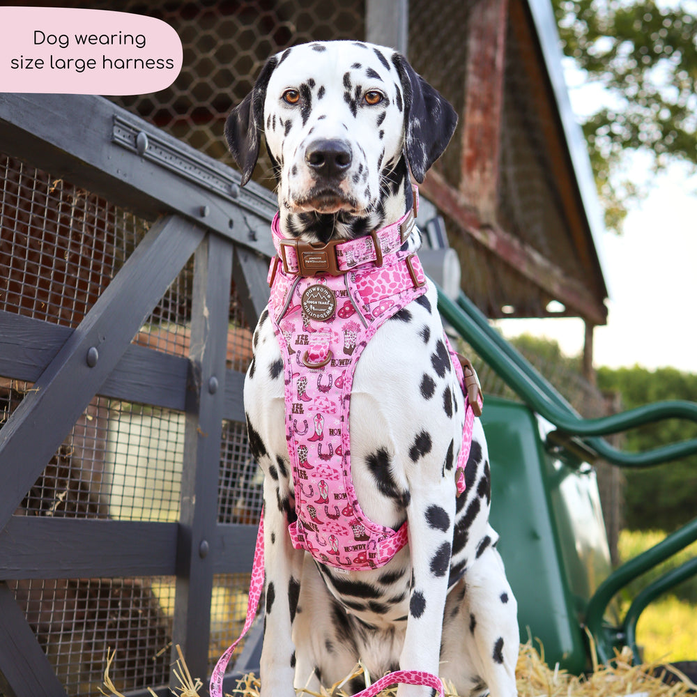 Tough Trails™ Harness -  Cowgirl