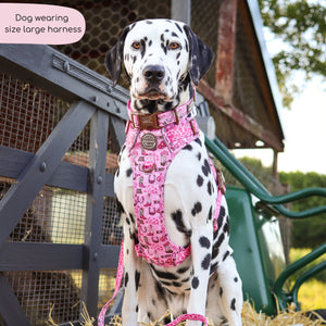 Tough Trails™ Harness -  Cowgirl