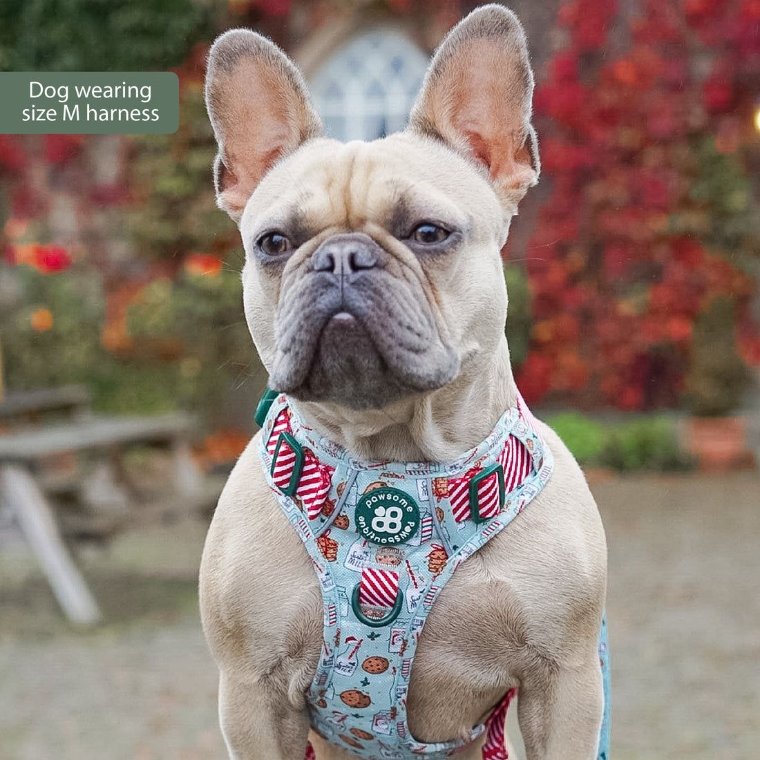 Tough Trails™ Harness -  Milk & Cookies
