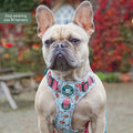 Tough Trails™ Harness -  Milk & Cookies