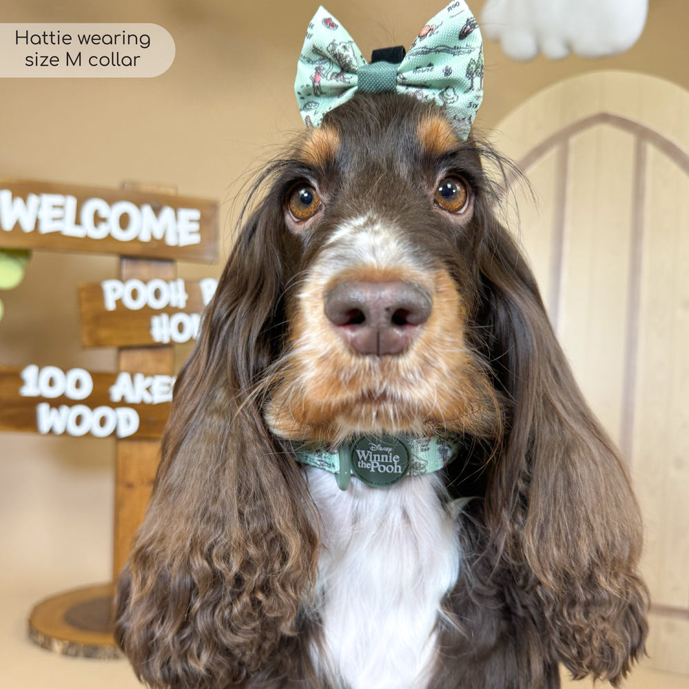 Disney© Collar - 100 Aker Wood