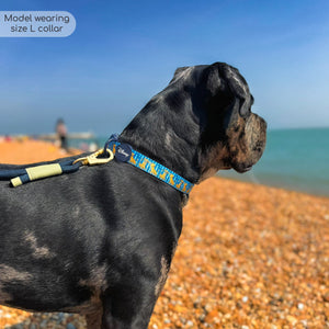 Disney© Collar - Simba