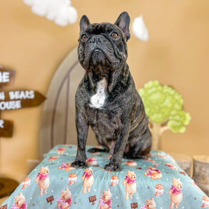 Disney© Dog Blanket - Winnie The Pooh