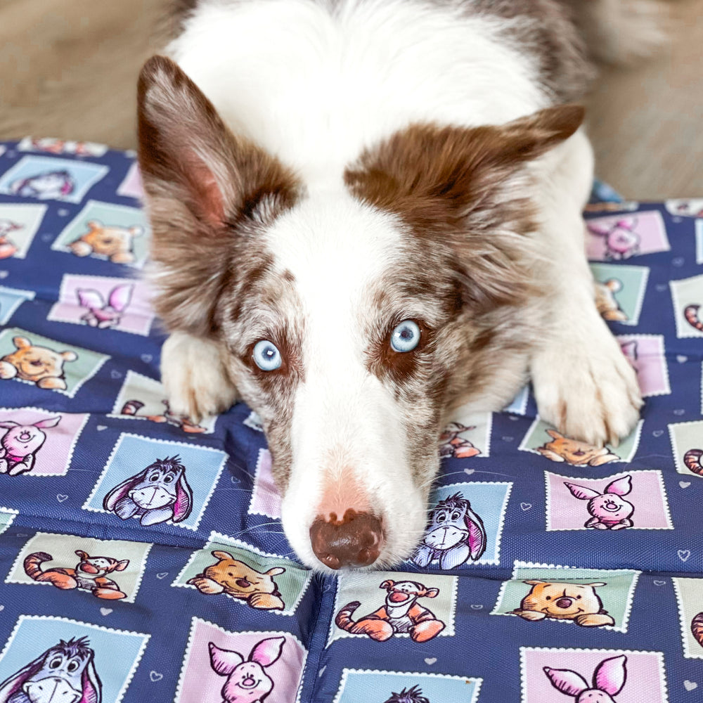 Disney© Travel Mat - Winnie + Friends