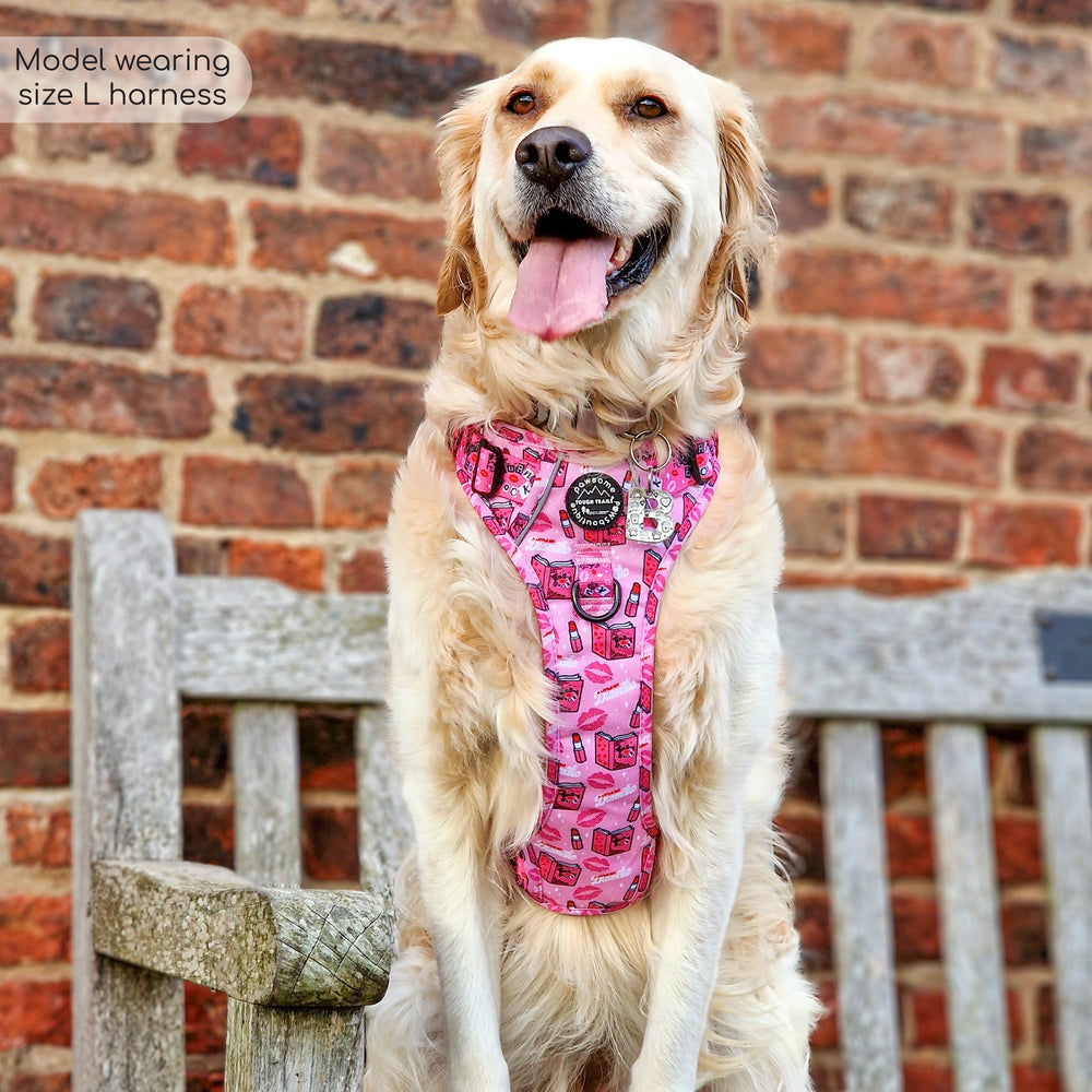 Tough Trails™ Harness - Mean Girls