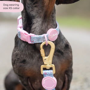 Disney© Collar - Mad Hatters Tea Party