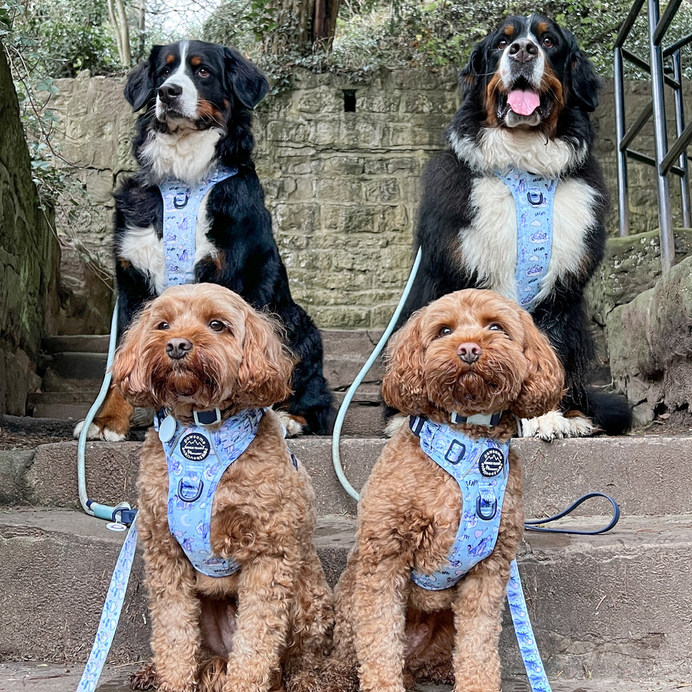 Disney© Tough Trails™ Harness - Eeyore
