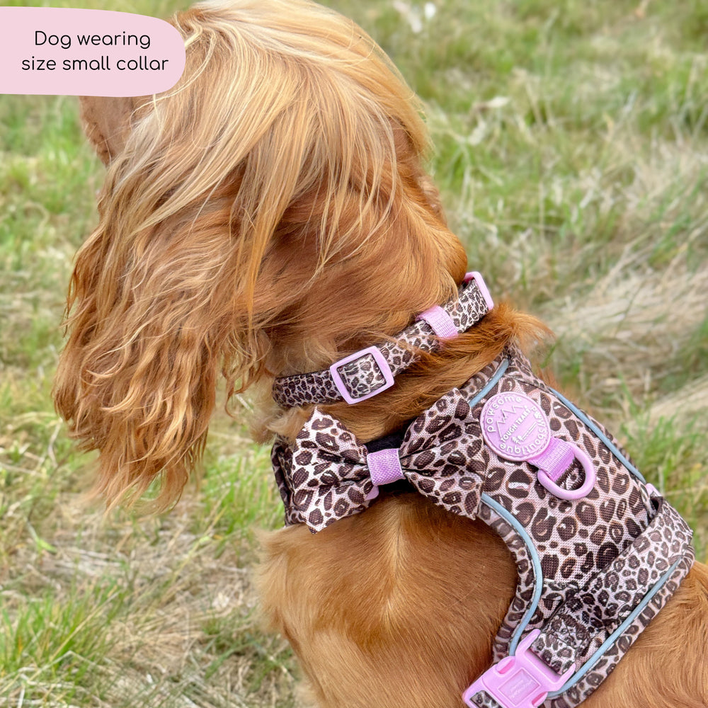 Collar - Leopard Print